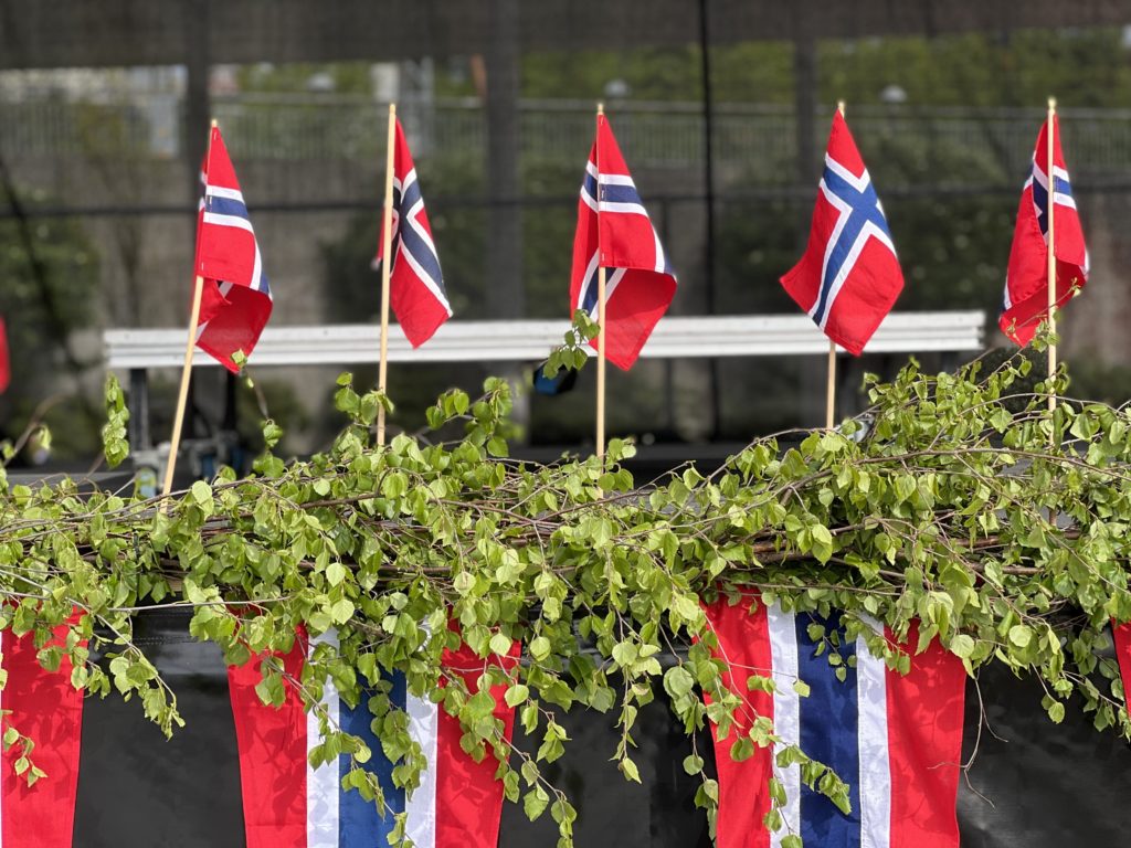Norske flagg med bjørkeris