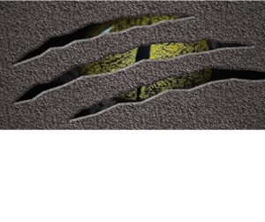 Bedliner & gummilakk