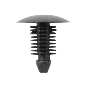 Fiat Black Fir Tree 10-pk