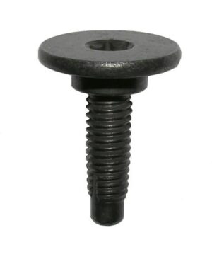 Fiat Black Metal Body Screw 10-pk