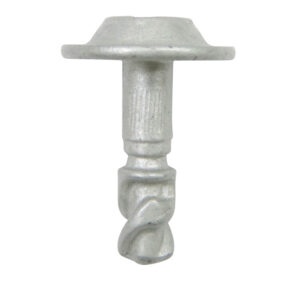 BMW Torx Insulator Screw 10-pk