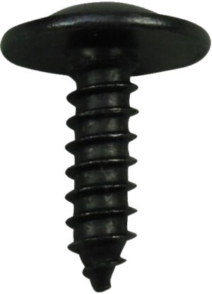 VAG Overhead Panel Torx Screw 10-pk
