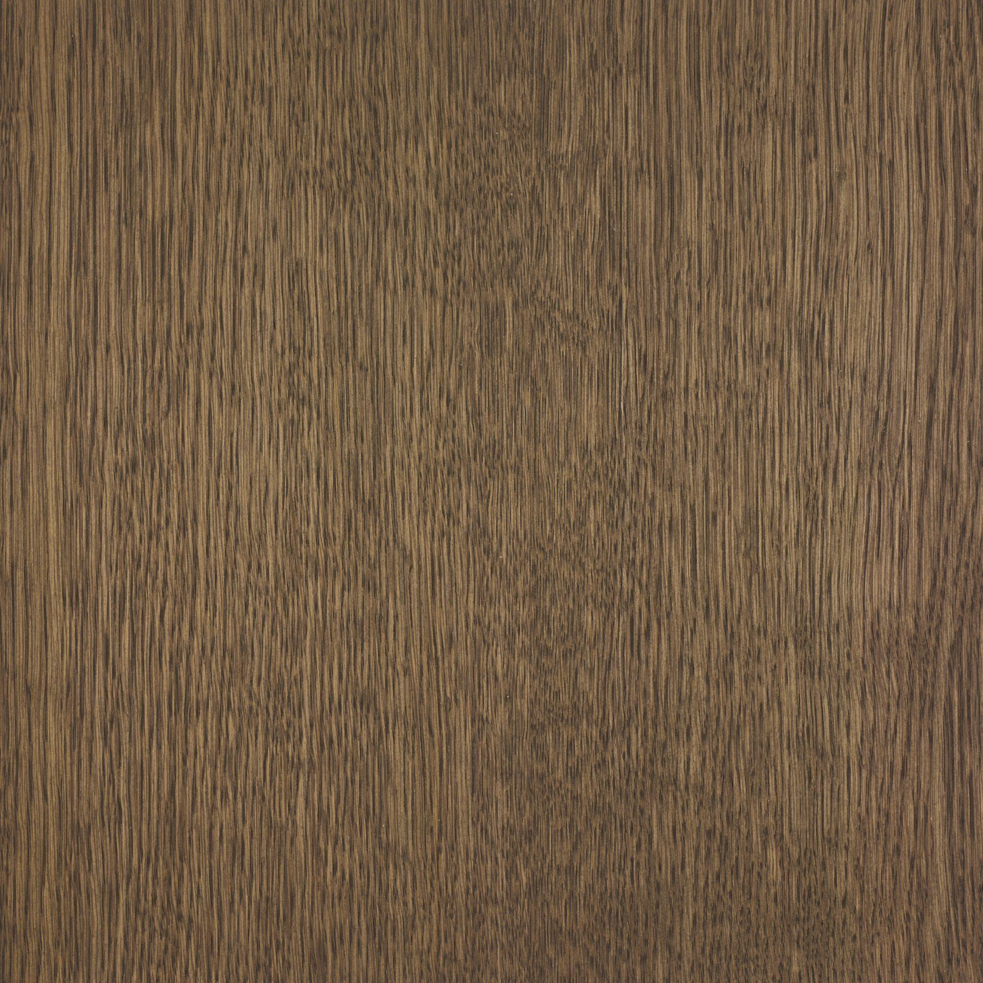 Monocoat Oil Plus 2C Comp. A - Shell Grey - 1 L